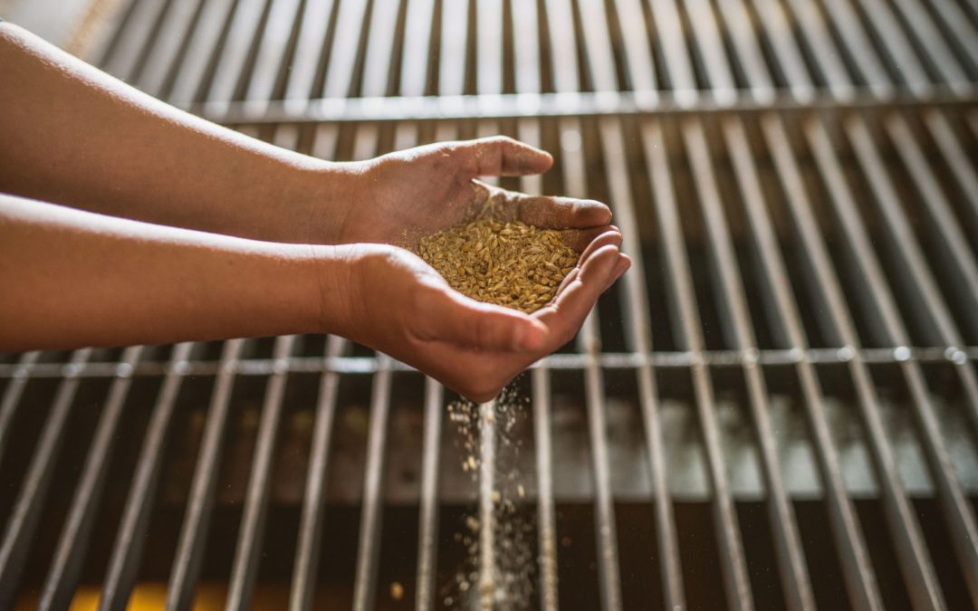 The Leading Ladies of Canada Malting Company